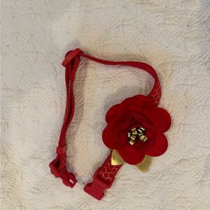 Dog collar, medium, Red Floral